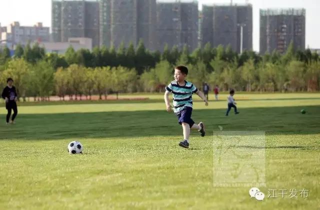 老牌球队主场草皮塌陷,极端天气导致赛程混乱    老牌球队主场草皮塌陷,极端天气导致赛程混乱